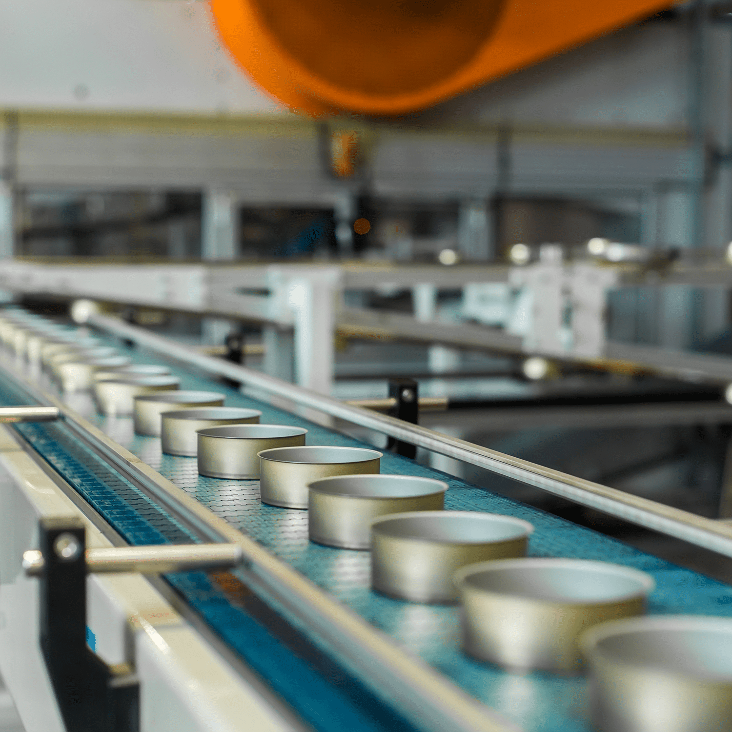 Packaging Processing